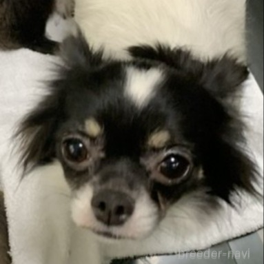 アイちゃん1枚目